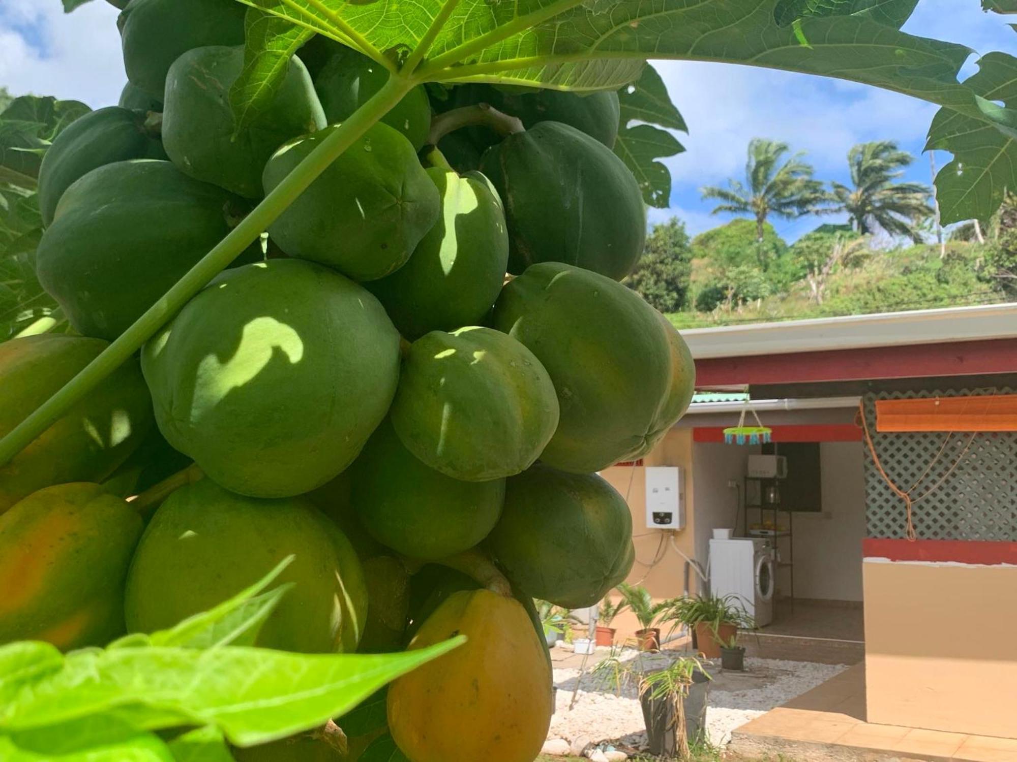Lemon House Hotell Maroe Eksteriør bilde